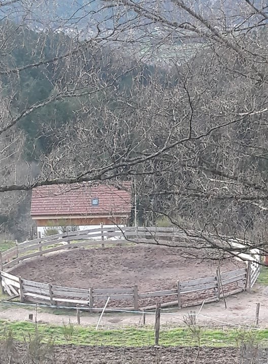 Rond de longe