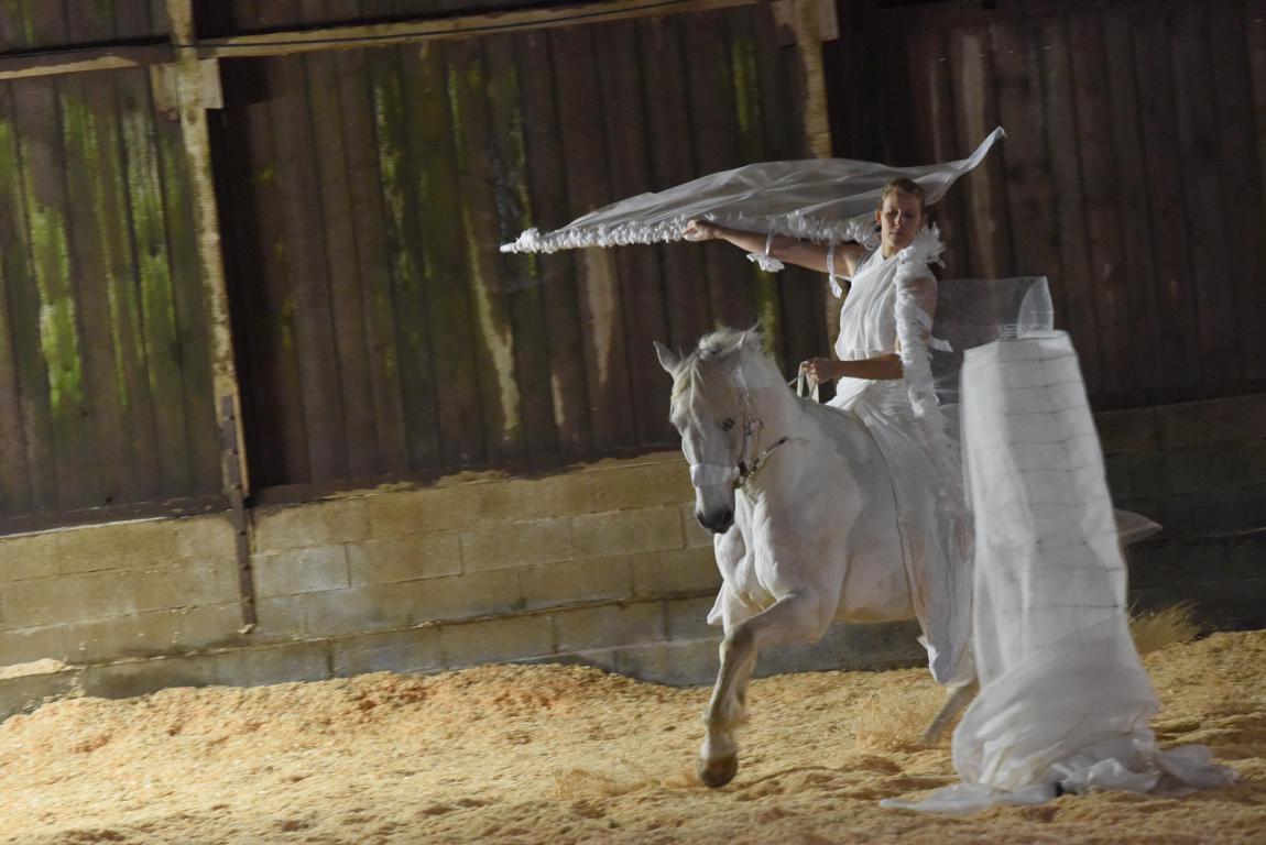 Spectacle équestre