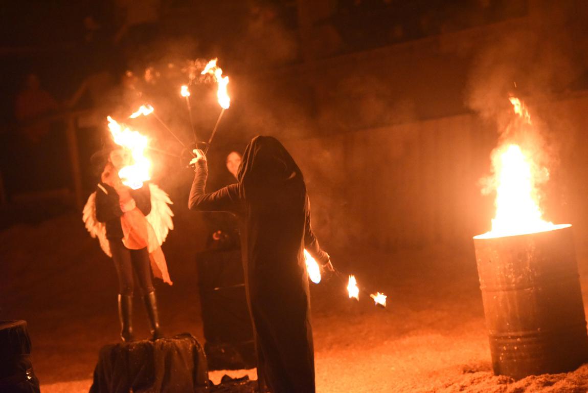 Spectacle équestre