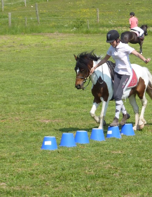 Compétition Pony-Games