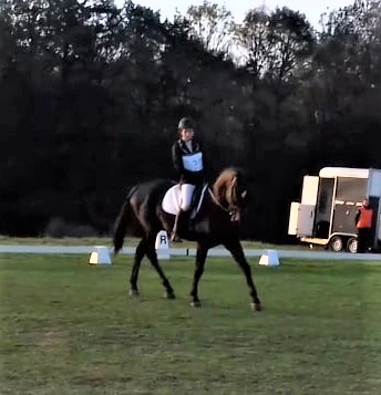 Compétition dressage