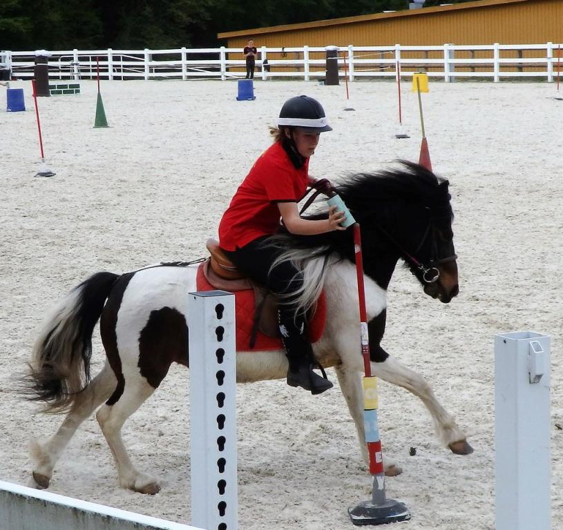 Compétition de Pony-games