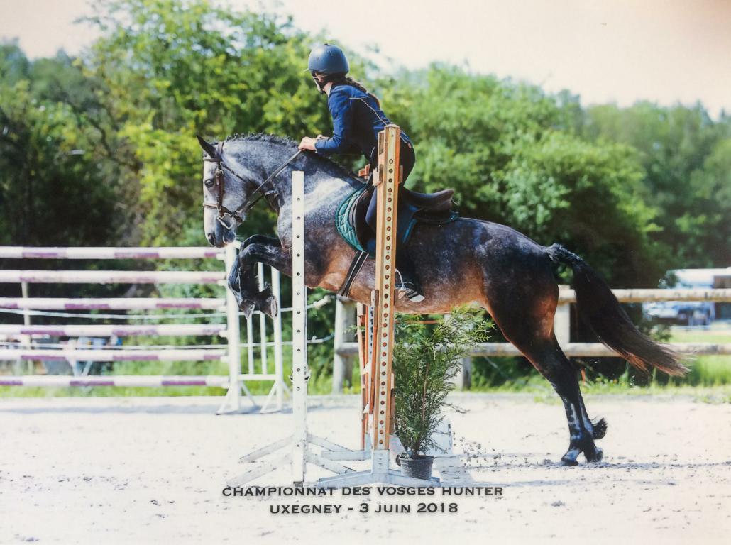 Compétition hunter