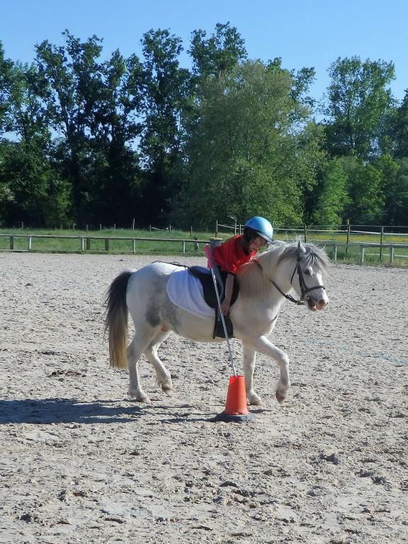 Compétition Pony-Games