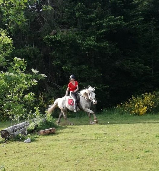 Cours d'équitation