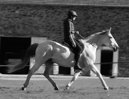 Monitrice d'équitation
